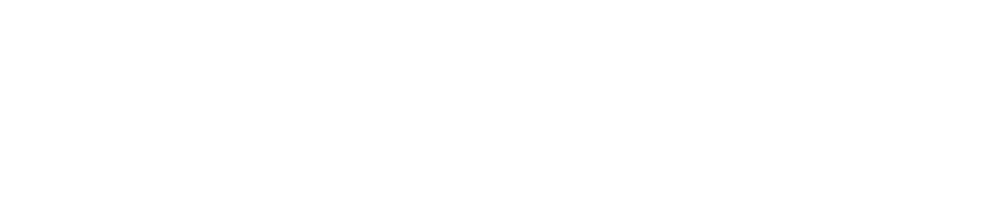 SEO Duneworld Marketing & Websites, Palm Harbor, FL 34684